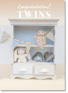 New Baby Twins! Congratulations!