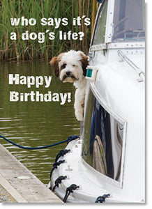 General Birthday Who says it's a dog's life