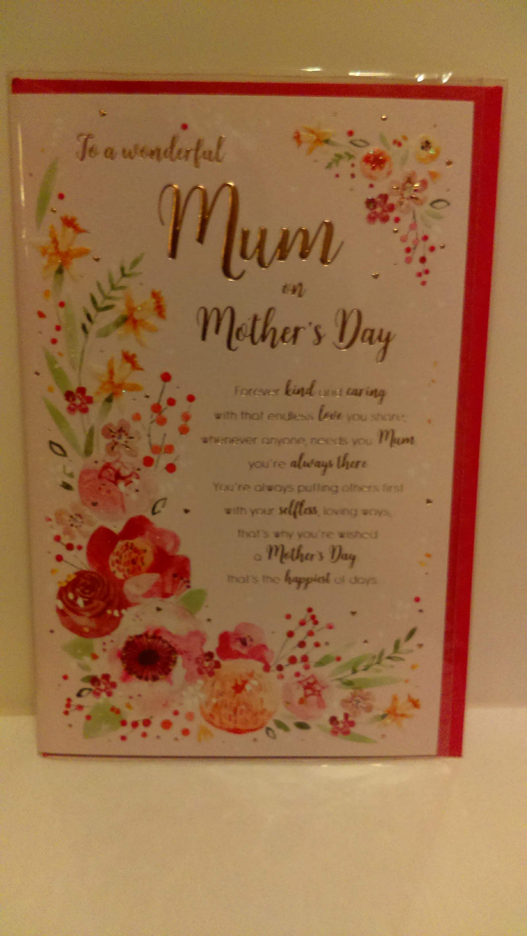 To a wonderful Mum on Mother's Day