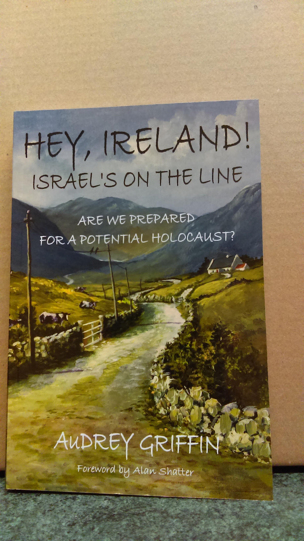 Hey, Ireland! Israel's on the line